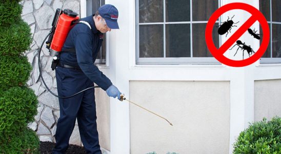 Buca Koop Kemirgen İlaçlama böcek ilaçlama ve haşere kontrolü — ilaclama-tr.com
